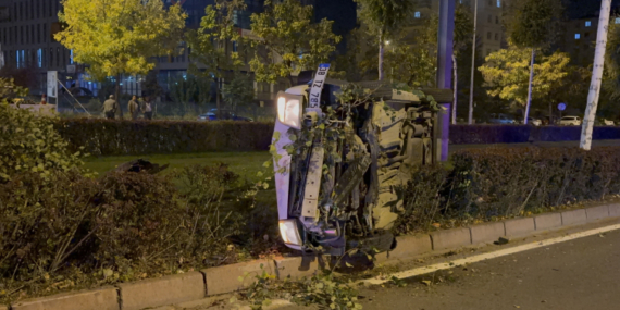 Ağacı devirip yan yattı, yara almadan kurtuldu
