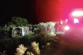 Arı kovanlarına çarptı, yardıma gelen babası da hayatını kaybetti