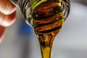 Bakanlıktan Yeni Taklit ve Tağşiş Listesi