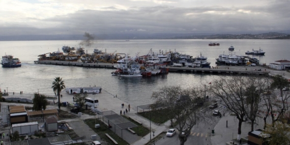 Balıkçıların yüzünü güldürdü: Karadeniz’in her tarafında var