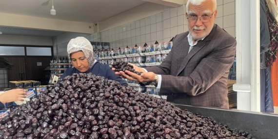 Bursa ve Balıkesir üretecek: Rekolte tahminleri açıklandı