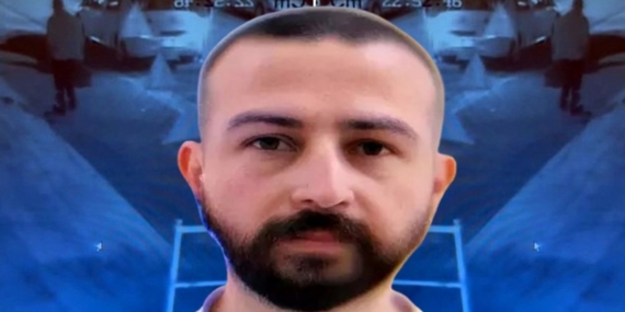 Edremit canisinin yeni görüntüsü ortaya çıktı: Aracın önünü kestiği an!