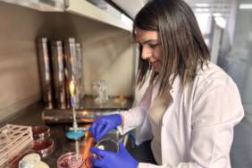 Gıdanın bozulduğunu renkle bildiren çalışma tescillendi