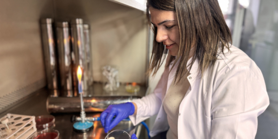 Gıdanın bozulduğunu renkle bildiren çalışma tescillendi