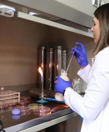 Güvenli gıdada devrim! Bozulduysa rengi değişiyor