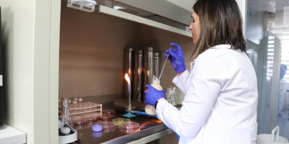 Güvenli gıdada devrim! Bozulduysa rengi değişiyor