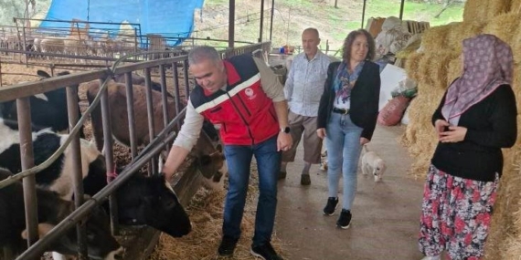 Kendi işletmesini kurdu: 25 büyükbaş hayvanla başladı