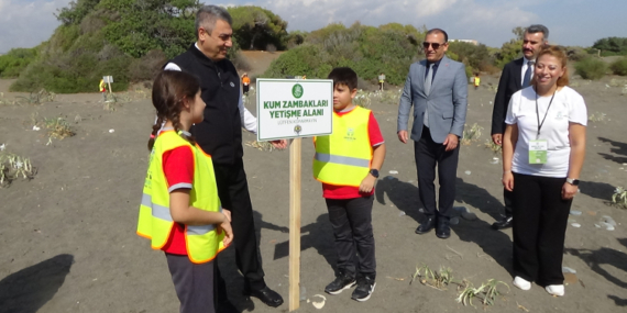 Koruma altındaki kum zambaklarını koparana 2,8 milyon liraya kadar ceza