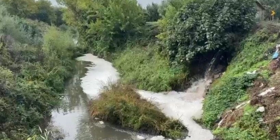 Kötü koku ve renk değişimi endişe yarattı: Gemlik Körfezi’ne kadar ulaşıyor