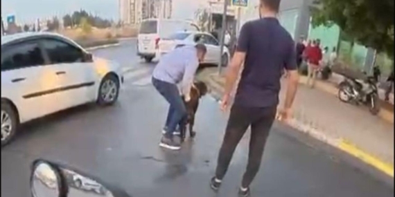 Mersin’de rottweiler cinsi köpek iki kişiye saldırdı