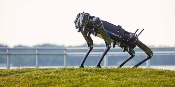 Milli Robot Köpek ‘PROTEO’ 2026 Başında Göreve Hazır Olacak