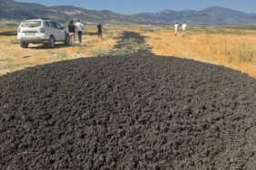 26 kamyon dolusu arıtma çamurunu açık araziye döktüler