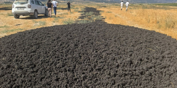 26 kamyon dolusu arıtma çamurunu açık araziye döktüler