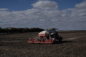 331 milyon 664 bin liralık tarımsal destek ödemesi bugün hesaplara yatırılacak