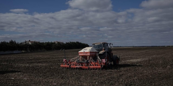331 milyon 664 bin liralık tarımsal destek ödemesi bugün hesaplara yatırılacak