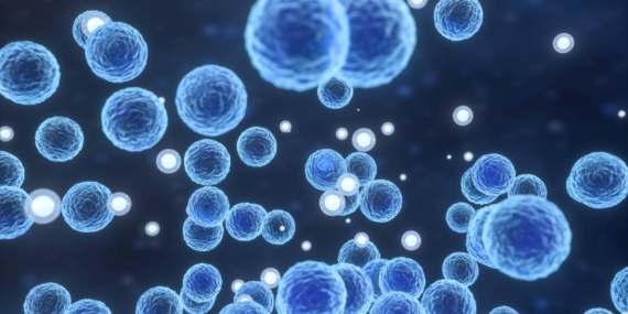 ABD’de listeria bakterisi salgını: 6 kişi öldü, 25 kişi hastaneye kaldırıldı