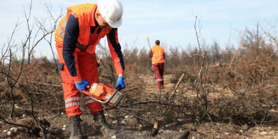 ‘Alev savaşçıları’ fidan dikimi için sahada