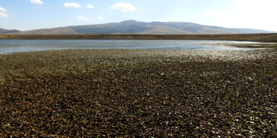 Asboğa Gölü’nde su 60 metre çekildi
