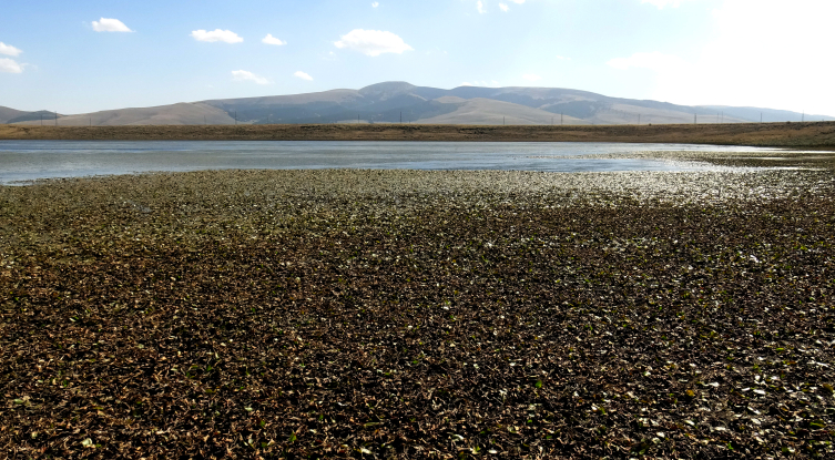 Asboğa Gölü'nde su 60 metre çekildi