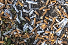 Berlinde yere sigara izmariti atanlara 3 bin euro ceza verilecek