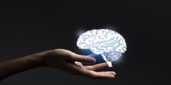 Bilim insanları: Erkek ve kadın beyinlerinde yüzlerce gen farklı çalışıyor