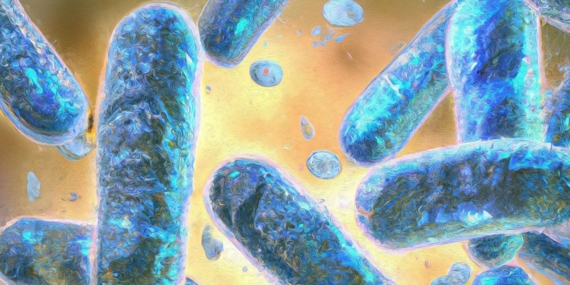 Bilim insanları yaşlanmayı yavaşlatan özel bağışıklık hücresi keşfetti