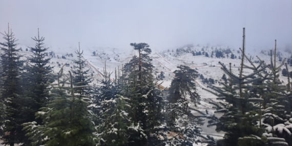 Bolu’da kar yağışı