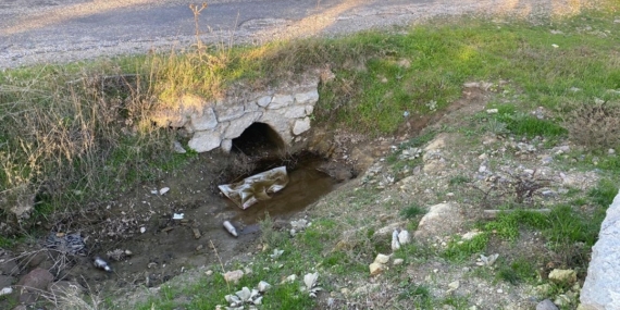 Boş arazide yenidoğan bebek cesedi bulundu