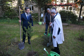 Bu yıl 550 milyona yakın fidan toprakla buluşacak