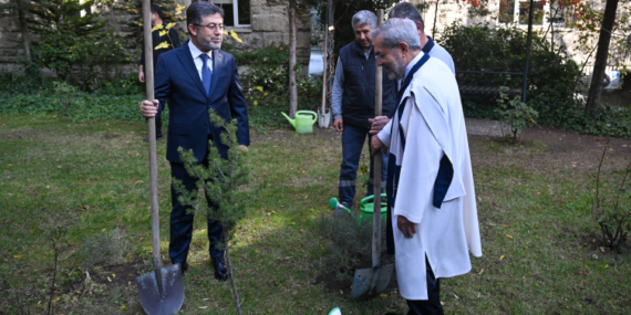 Bu yıl 550 milyona yakın fidan toprakla buluşacak