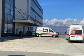 Burdur'da başıboş sokak köpekleri 13 yaşındaki kıza saldırdı