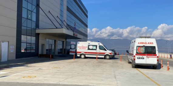 Burdur’da başıboş sokak köpekleri 13 yaşındaki kıza saldırdı