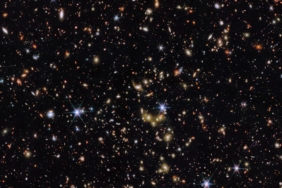 Çin, Göksel Saray istasyonuna dört siyah fare gönderdi