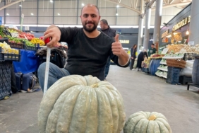Devasa kabak görenleri şaşırttı: Tam 60 kilo ağırlığında
