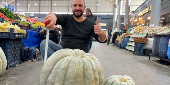 Devasa kabak görenleri şaşırttı: Tam 60 kilo ağırlığında