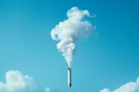 DSÖ, tütünün her yıl 7 milyon kişinin ölümüne neden olduğunu bildirdi