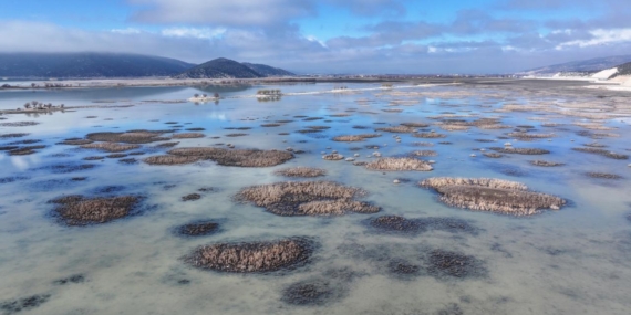 Dünya Bankası: Dünyanın yıllık tatlı su kaybı 280 milyon kişinin ihtiyacını karşılayabilir