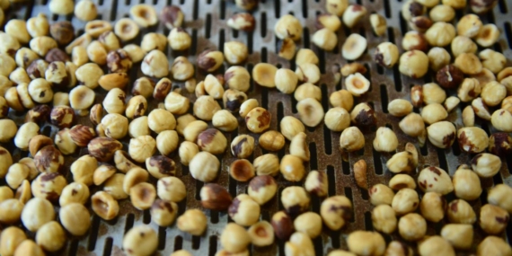 Düzce’den AB ülkelerine 15 bin 750 ton iç fındık ihraç edildi