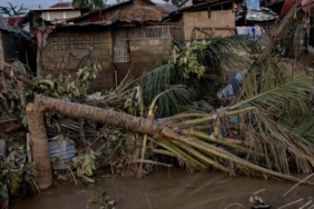 Filipinler'de Kalmaegi Tayfunu'nda hayatını kaybedenlerin sayısı 224'e çıktı