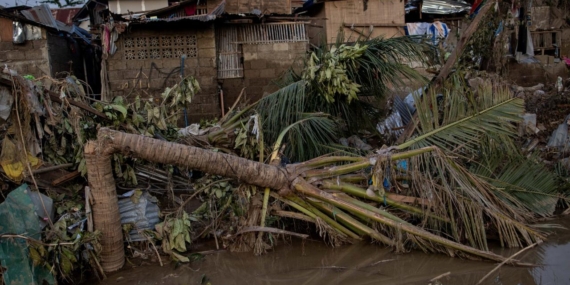 Filipinler’de Kalmaegi Tayfunu’nda hayatını kaybedenlerin sayısı 224’e çıktı