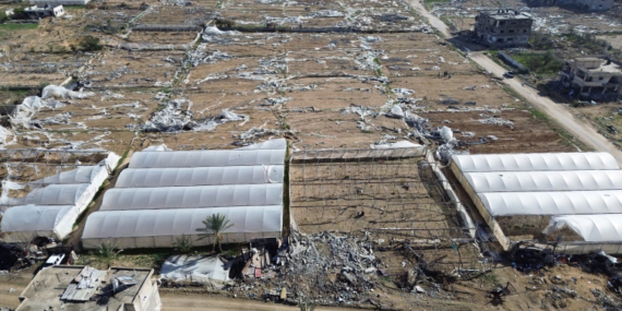 Gazze’de tarım altyapısının yüzde 89’u hasar gördü