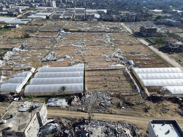 Gazze'de tarım altyapısının yüzde 89'u hasar gördü