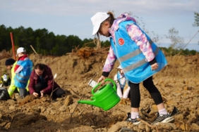 "Geleceğe Nefes" 6 yaşında: 34 milyon fidan toprakla buluştu