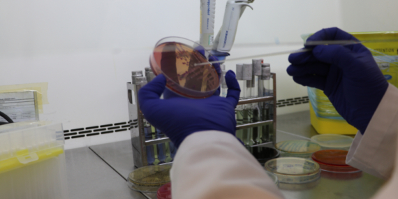 Gıdada sahtekarlığa geçit yok: Yılda 1 milyon 800 bin gıda analizi yapılıyor