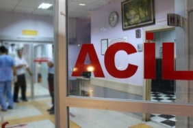 Güzelavrat otu aynı aileden 11 kişiyi hastanelik etti