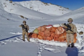 Hakkari'de 378 kilogram, Ağrı'da 773 litre uyuşturucu madde ele geçirildi