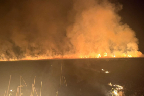 Hakkari'deki Nehil Sazlığı'nda yangın