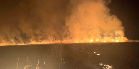 Hakkari’deki Nehil Sazlığı’nda yangın