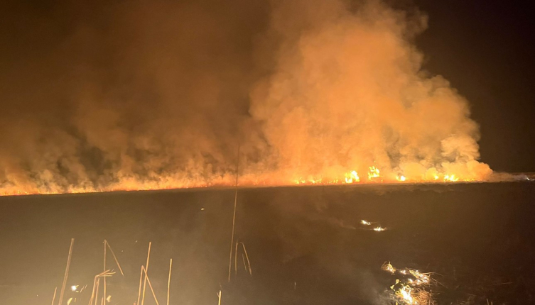 Hakkari'deki Nehil Sazlığı'nda yangın