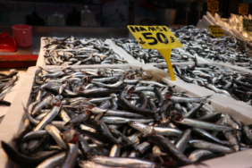 Hamsi bolluğu balıkçı tezgahlarına yansıdı